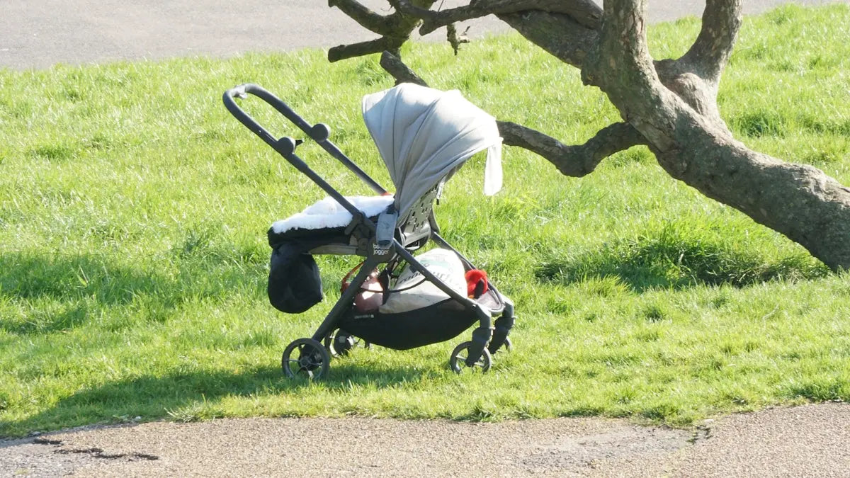 a baby in a stroller in the grass